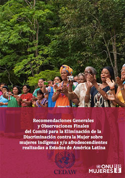 CEDAW Indígenas Afrodescendientes