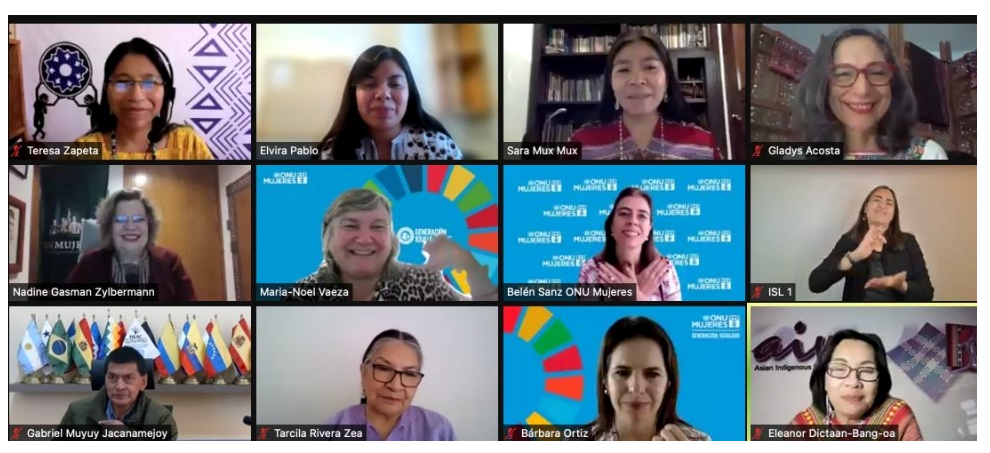 Mujeres indígenas hacen oír su voz y presentan sus aportes a la próxima Recomendación General no.39 de la CEDAW - Screenshot