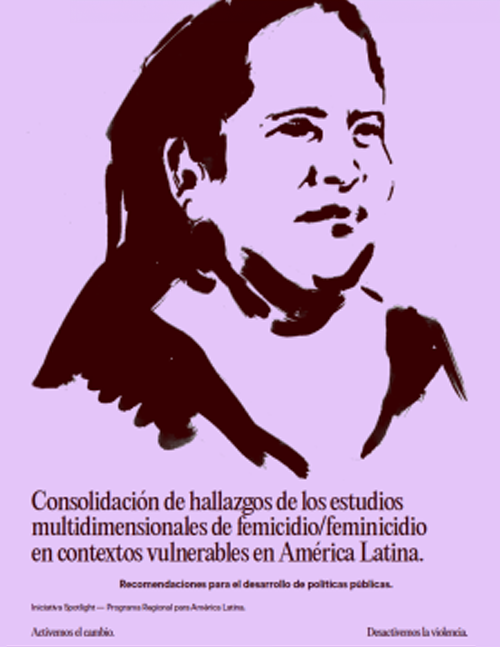 consolidacion_de_hallazgos_femicidio_00-_thumbnail.png