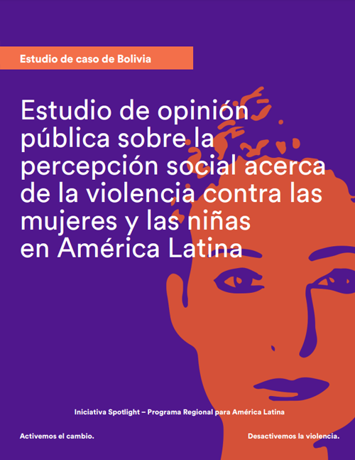 estudio_de_opinion_publica_sobre_violencia_contra_las_mujeres_-_bolivia.png