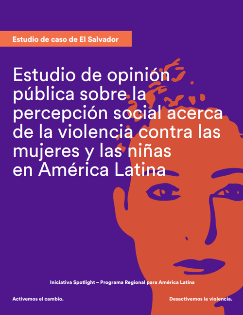 estudio_de_opinion_publica_sobre_violencia_contra_las_mujeres_-_el_salvador.png