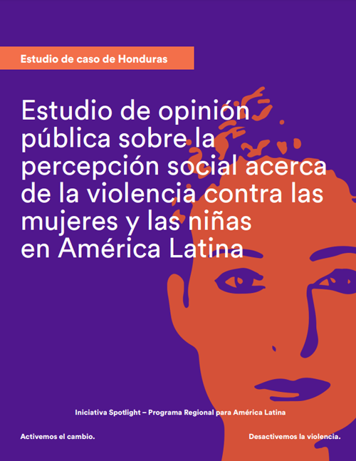 estudio_de_opinion_publica_sobre_violencia_contra_las_mujeres_-_honduras.png
