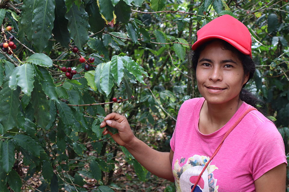 foto_onu_mujeres_cauca_2_2.png