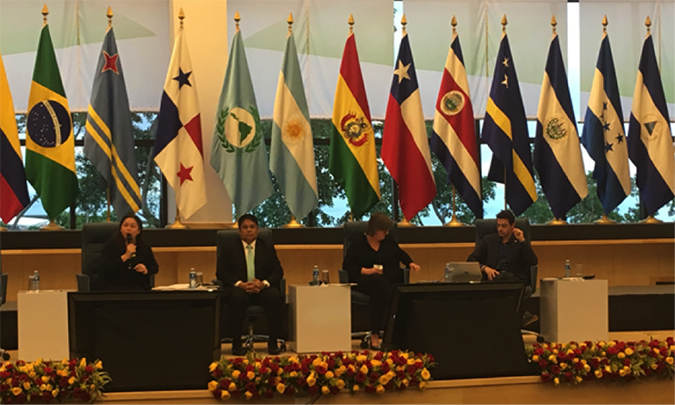 panel onu mujeres 