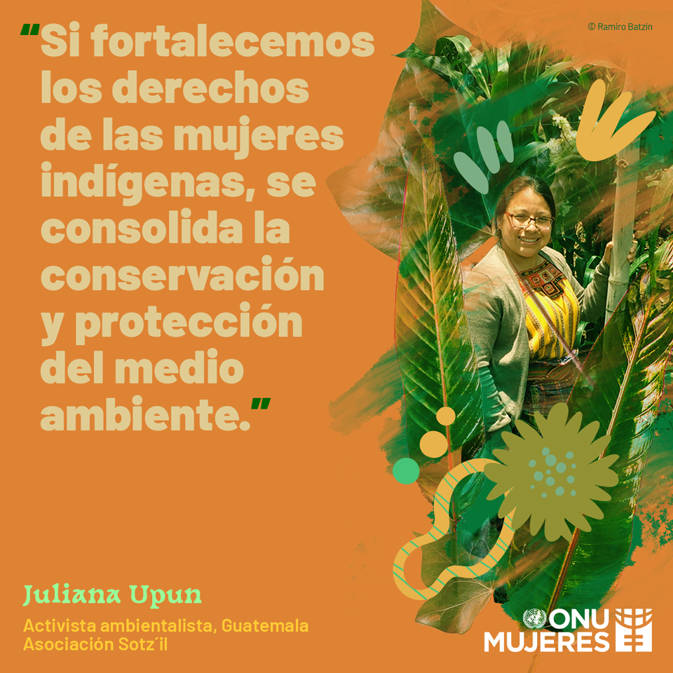 Mujeres en Espacios de Poder: Activistas dedicadas a la restauración y  conservación del medio ambiente | ONU Mujeres – América Latina y el Caribe