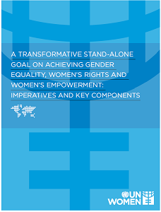Cover of UN Women long paper on a transformative stand-alone goal on achieving gender equality