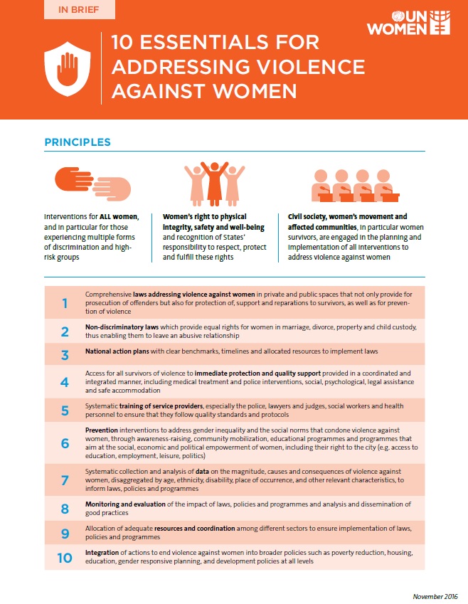 Package of essentials for addressing violence against women