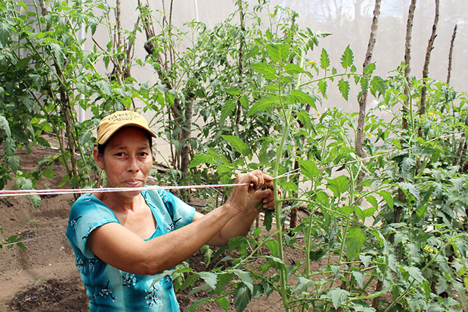 Mercedes Sanchez de Garcia in the greenhouse in Las Piedritas, El Salvador. Photo: UN Women/Monika Remé