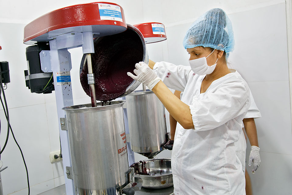 A scene from the processing facilities of the Buen Retiro venture. The project has provided technology and assets to improve the production of 10 women-led enterprises in four municipalities. Photo: UN Women/Teófila Guarachi.