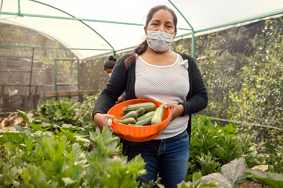 Juana Alva, 37, from Ajalpan, harvests zucchini in the greenhouse. Photo: UN Women/ Dzilam Méndez