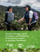 eng_-_melyt_mujeres_economia_local_y_territorios_-_thumbnail.png